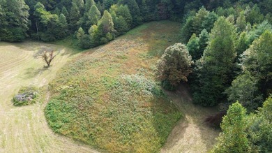 OVERVIEW Big Valley Farm and Forest is a diverse and private 200 - photo 5