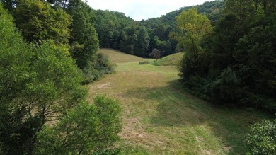 OVERVIEW Big Valley Farm and Forest is a diverse and private 200 - photo 6