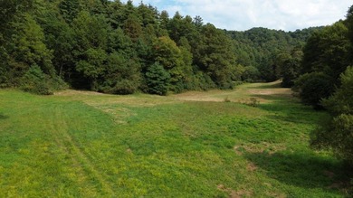 OVERVIEW Big Valley Farm and Forest is a diverse and private 200 - photo 9