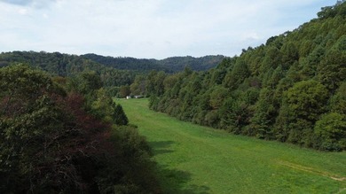 OVERVIEW Big Valley Farm and Forest is a diverse and private 200 - photo 10