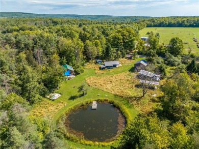 Lake Home For Sale in Allen, New York