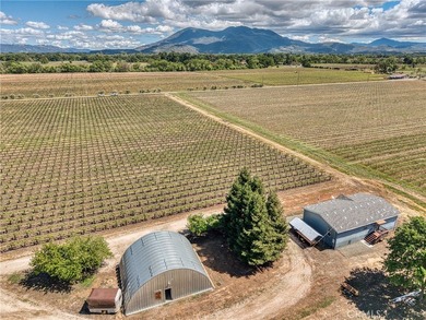 2195 stone Dr - photo 3