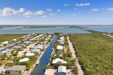 The Best Boating Access in the Lower Keys, hands down!!! The - photo 32