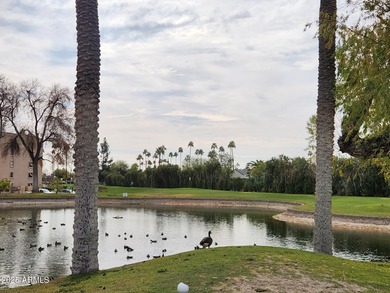 Laundry room with washer/dryer in unit. You read that correctly