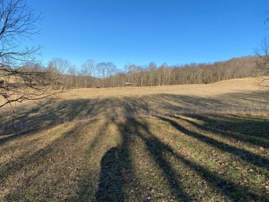 Lake Acreage For Sale in Wytheville, Virginia