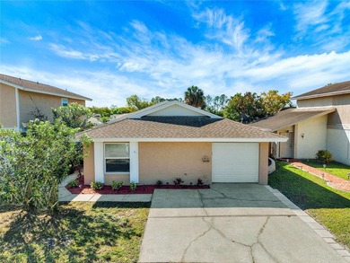 (private lake, pond, coastal) Home Sale Pending in Tampa Florida