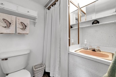 Two cabins offered together for one price, providing excellent - photo 13