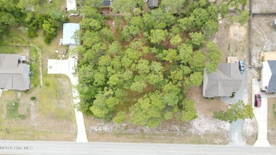 This listing is for this 0.25 acre lot and the adjacent lot at - photo 4