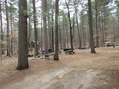 Nestled in the woods this Two bedroom, 1 bath home has a - photo 16