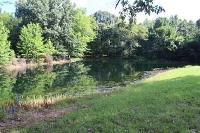 LOCATION LOCATION LOCATION Prime Commercial Opportunity - Approx - photo 20