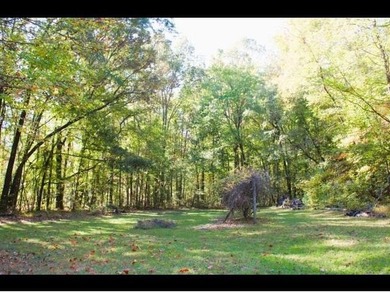 Seize the opportunity to write your own story at 653 Ironwood, a - photo 30