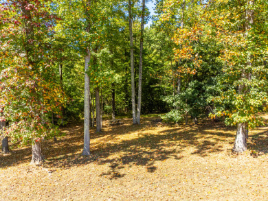 Large Acreage for Sale at Piedmont Lake - photo 8
