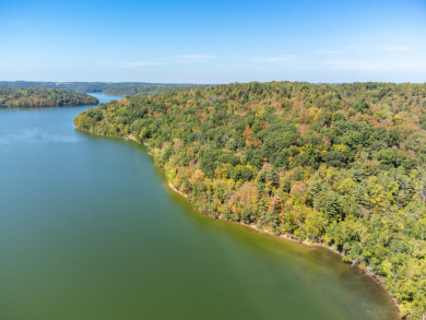 Large Acreage for Sale at Piedmont Lake - photo 19