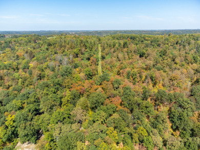 Large Acreage for Sale at Piedmont Lake - photo 16