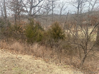 An exceptional opportunity to own a golf course homesite in Four - photo 3
