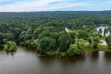2 Acres with nearly 300 ft of shoreline with open water views in - photo 2