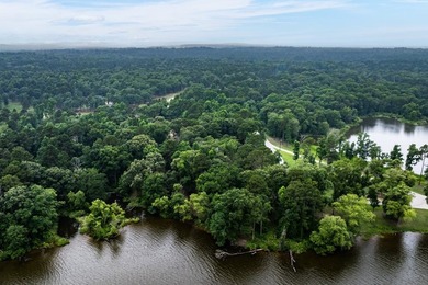 2 Acres with nearly 300 ft of shoreline with open water views in - photo 7