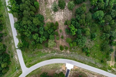 2 Acres with nearly 300 ft of shoreline with open water views in - photo 8