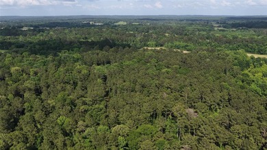 Set on 150.55 acres just outside Rusk, Texas, this luxury - photo 8
