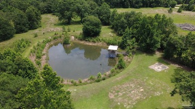 14.51 Acres with Pond, Pole Barn & Beautiful Homesite Potential - photo 3