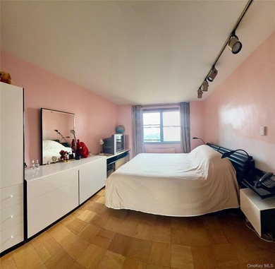 Stunning Renovated 2 Bedroom / Junior 4 Co-op with Lake Views - photo 14