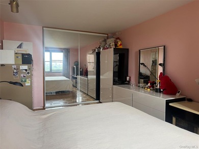Stunning Renovated 2 Bedroom / Junior 4 Co-op with Lake Views - photo 15