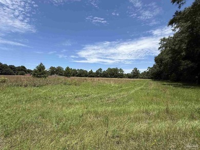 14.51 Acres with Pond, Pole Barn & Beautiful Homesite Potential - photo 8