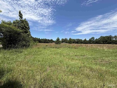 14.51 Acres with Pond, Pole Barn & Beautiful Homesite Potential - photo 9