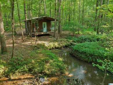 Experience resort-style living on beautiful acreage with the - photo 36
