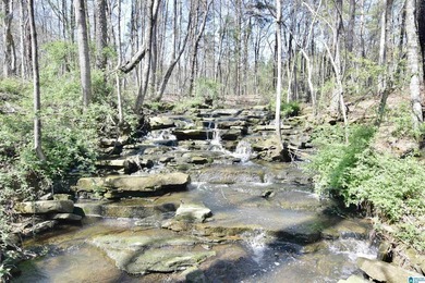 Experience resort-style living on beautiful acreage with the - photo 38