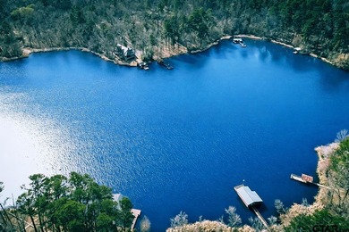 NESTLED AMONG TREES IS YOUR PRIVATE PARADISE FOR THIS NOSTALGIC - photo 43