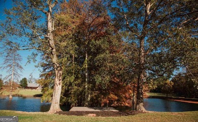 Welcome to Iron Horse, a beautifully designed property - photo 46