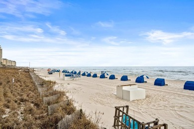 Experience luxury Gulf-front living from the 20th floor of the - photo 48