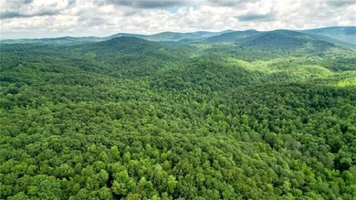 Beautiful 23.83 Acres of Wooded Land for Sale Discover your - photo 11