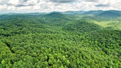Beautiful 23.83 Acres of Wooded Land for Sale Discover your - photo 12