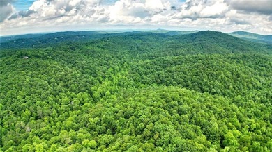 Beautiful 23.83 Acres of Wooded Land for Sale Discover your - photo 13