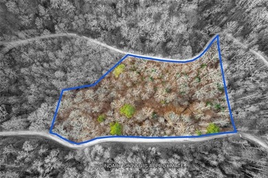 Coosawattee River - Gilmer County Lot Sale Pending in Ellijay Georgia