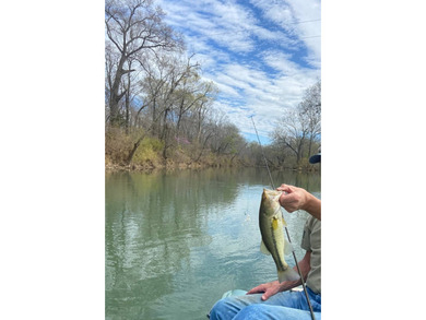 Here is a hidden gem in the heart of Southeast Oklahoma - 28 - photo 4