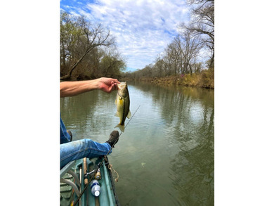 Here is a hidden gem in the heart of Southeast Oklahoma - 28 - photo 5
