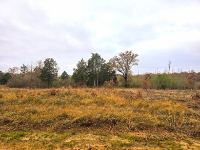 Here is a hidden gem in the heart of Southeast Oklahoma - 28 - photo 7