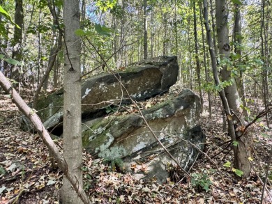 Large Acreage for Sale at Piedmont Lake - photo 6