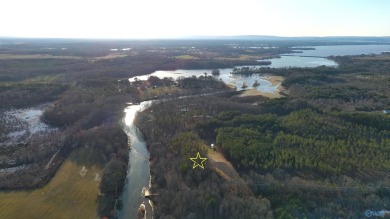 Weiss Lake Lot For Sale in Centre Alabama
