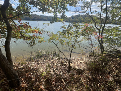 Large Acreage for Sale at Piedmont Lake - photo 7
