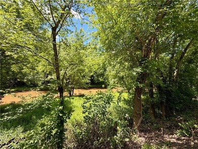 Embrace the ultimate homesteading and outdoor lifestyle with - photo 10