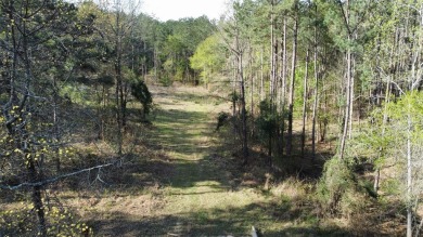 Lake Acreage For Sale in Lindale, Texas