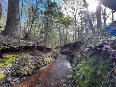 74-acre vacant wooded land for sale in Smith County, East TX - photo 3