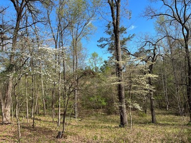 74-acre vacant wooded land for sale in Smith County, East TX - photo 5