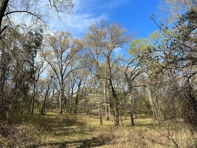 74-acre vacant wooded land for sale in Smith County, East TX - photo 6