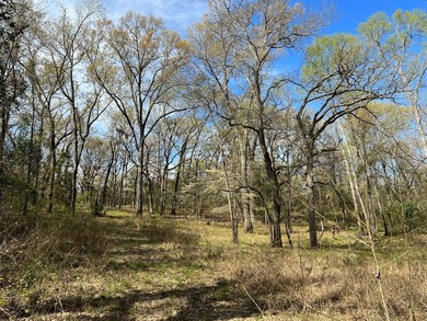74-acre vacant wooded land for sale in Smith County, East TX - photo 7