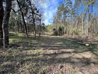 74-acre vacant wooded land for sale in Smith County, East TX - photo 9